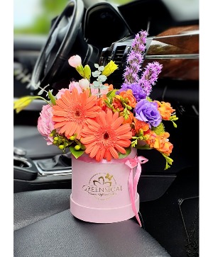 Darling Daisies  