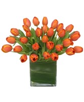 ORANGE OASIS Bouquet of Tulips