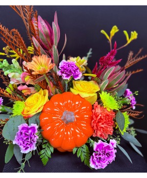 Orange Pumpkin Designer's Choice