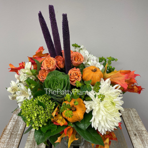 Orange Pumpkins 