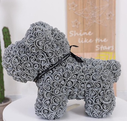 Grey Foam  Rose Dog  