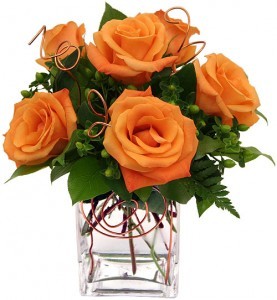 Orange Roses 