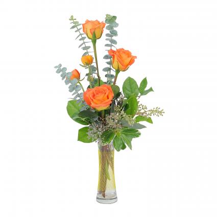 Orange Simplicity Arrangement