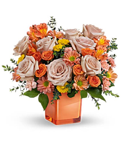 Orange Splendor 