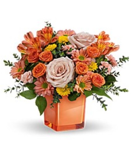 Orange Splendor 