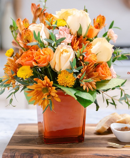 Orange Splendor Orange Splendor