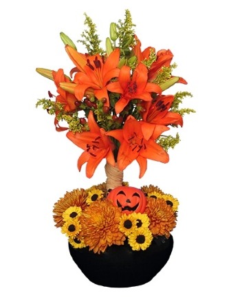 ORANGE YOU SPECIAL! Floral Topiary in New Milford, CT | RUTH CHASE FLOWERS