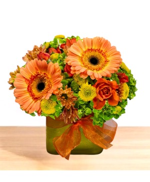 Orchard Zest Vase Arrangement in Lebanon, NH - LEBANON GARDEN OF