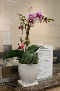 ORCHID 01 