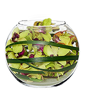 ORCHID BUBBLE BOWL Arrangement