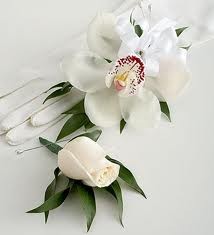 Cymbidium Orchid  Pin On Corsage
