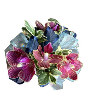 Orchid Corsage Corsage