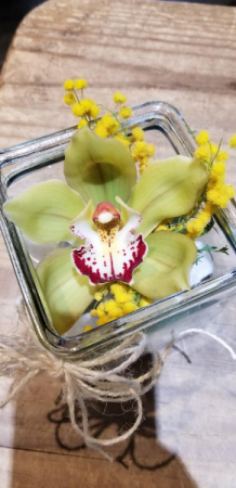 orchid cube 