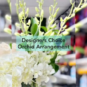 ORCHID - DESIGNER CHOICE MIX Vase Arrangement