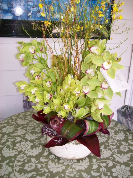 Orchid Glory 