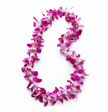 Orchid  Lei in Chehalis, WA | BENNY'S FLORIST & GREENHOUSE