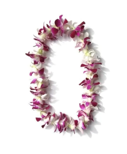 Orchid Lei 