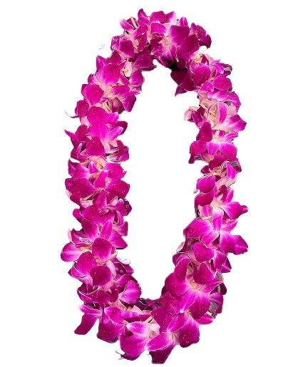 Graduation Orchid Leis Double Sonia Orchid Leis   ((Pickup Only))   