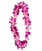 Graduation Orchid   Leis     Single Sonia Orchid Leis((Pickup Only))  