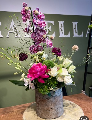 Orchid plant & cut flowers 