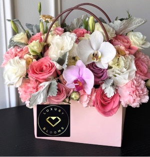 Orchid Royale Any Special Occasion 