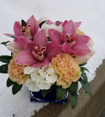 for the love of orchids 