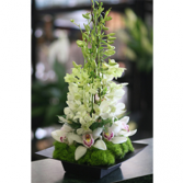 Orchid Tower Arrangement