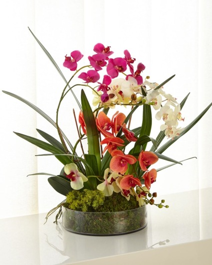 Orchid Waterfall 
