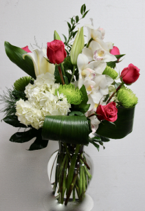 Orchids Delight 