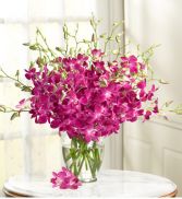 Orchids Galore Flower arrangement