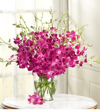 Orchids Galore Flower arrangement
