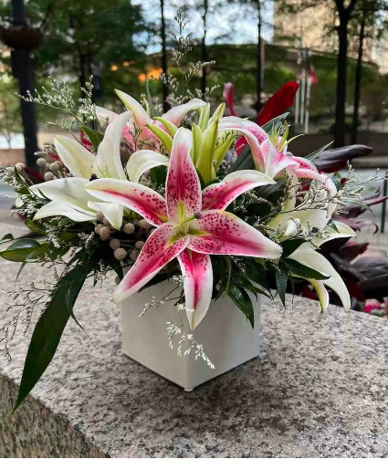 Oriental Lilies Designer's Choice 