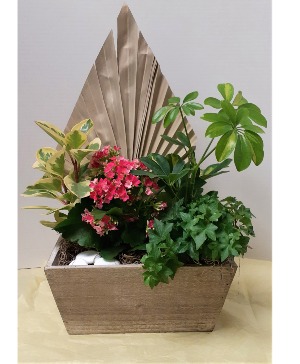 Ornamented Dish Garden 