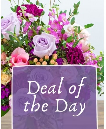 our BIGGEST & BEST deal of the day…  in Osoyoos, BC | POLKA DOT DOOR