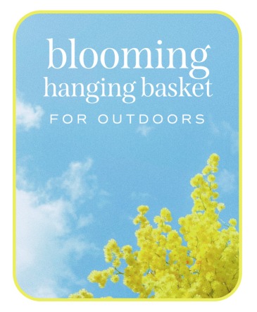 Outdoor Blooming Hanging Basket Plants in Nevada, IA | Flower Bed