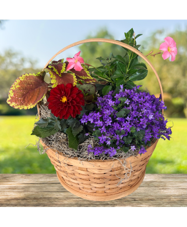 Outdoor Blooming Plant Basket in Mattapoisett, MA | Blossoms Flower Shop