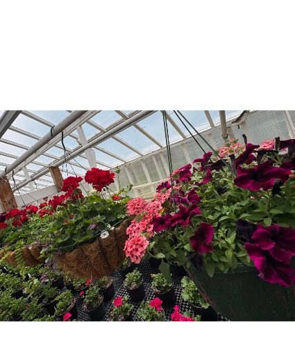 Outdoor Hanging Basket 
