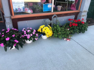 Outdoor Hanging Basket Mother’s 