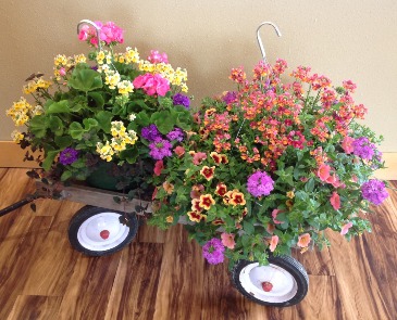 Outdoor hanging baskets Sun or Shade option in Longview, WA | Jansen Floral Effects