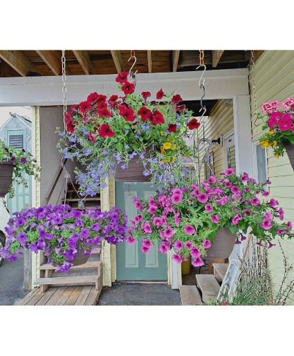 outdoor hanging blooming baskets 