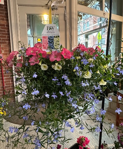Outdoor Hanging Plant 