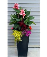 Outdoor Planter Garden Plant