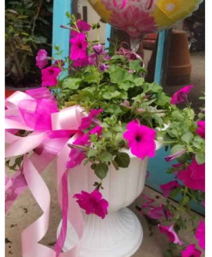 Outdoor Porch Planter 