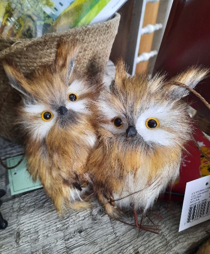 Owl Ornament Gift