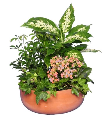 GARDEN PLANTER Green & Blooming Plants in Galloway, NJ | GALLOWAY FLORIST INC.