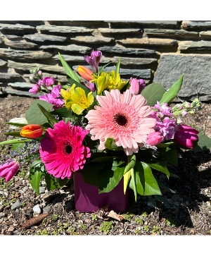 Pink Skies Vase Arrangment