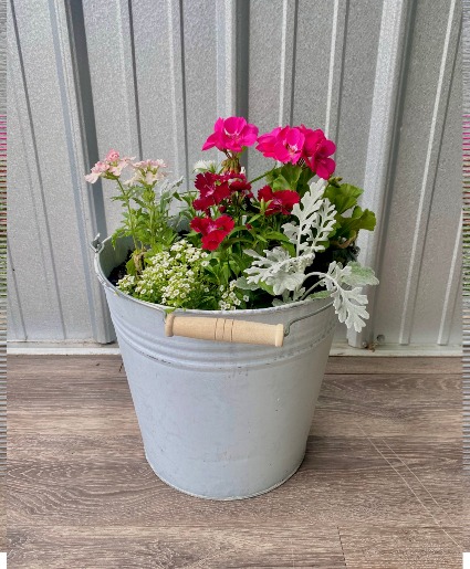 Pale of Flowers 