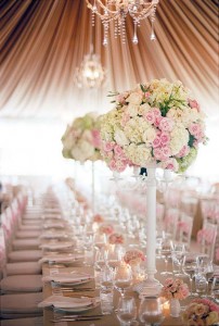Pale Pink Hue 