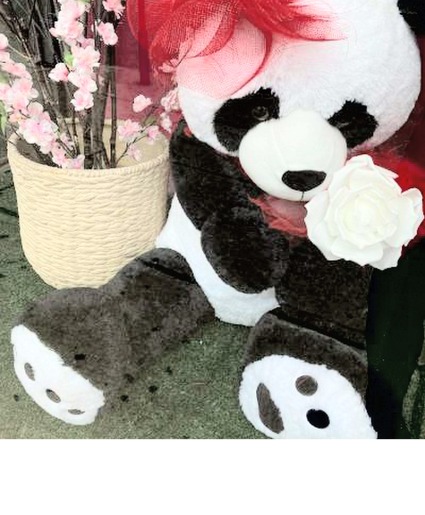 Panda Bear 