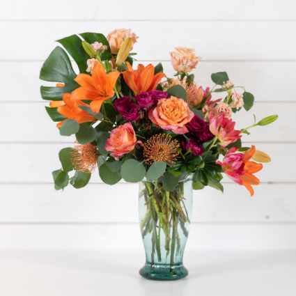 Papaya Modern, Tropical Nouveau, Sleek, Vibrant